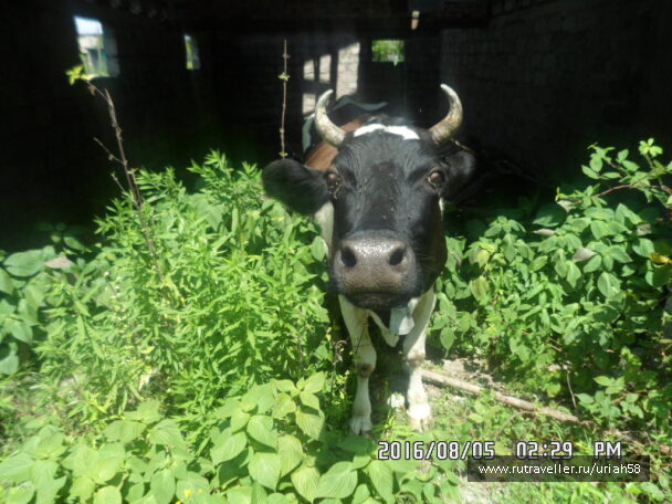 photo 1353268