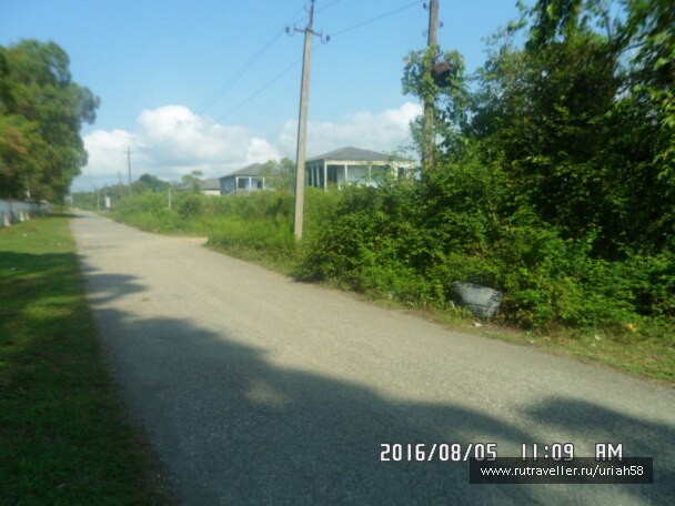 photo 1353270