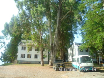 photo 1353271