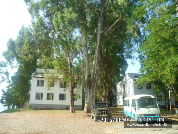 photo 1353271