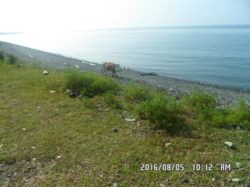 photo 1353276