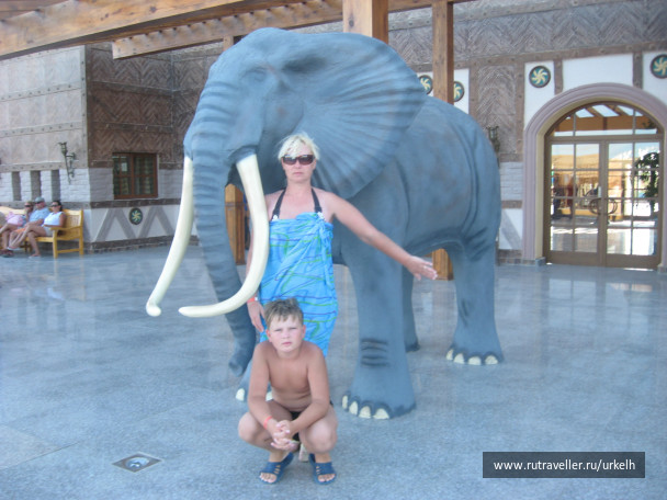 photo 147448