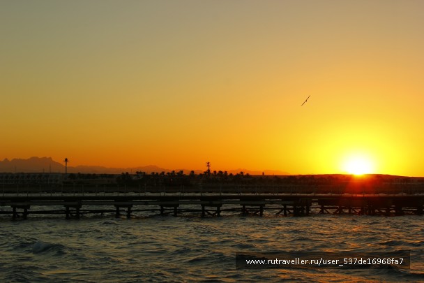 photo 788859