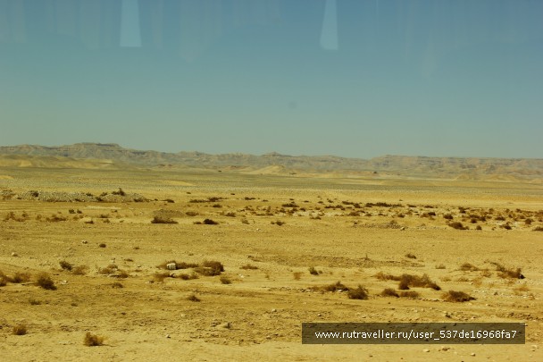 photo 788861
