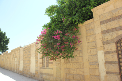 photo 1106334