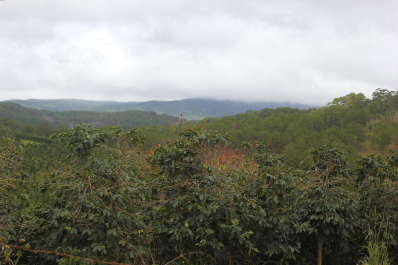 photo 1432435