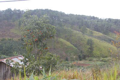 photo 1432436