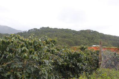 photo 1432439
