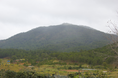 photo 1432441
