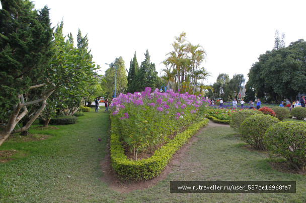 photo 1432736