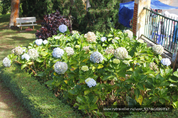 photo 1432755
