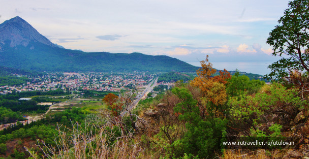 photo 237762