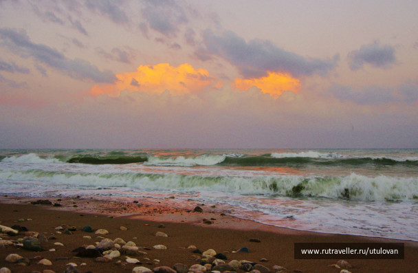 photo 237769