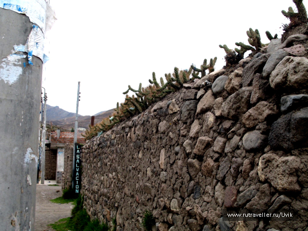 photo 47667