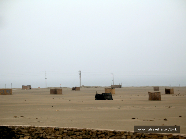 photo 638876
