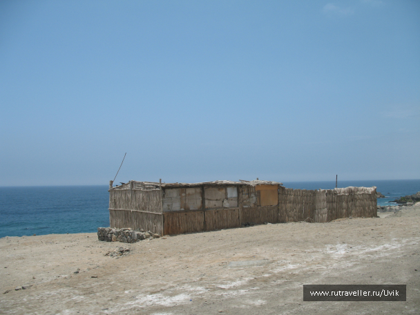 photo 638895