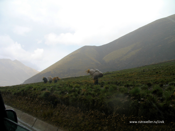 photo 641625