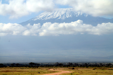 photo 237629