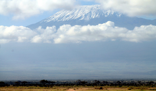 Амбосели. Дорога к Килиманджаро