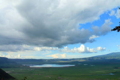 photo 325972
