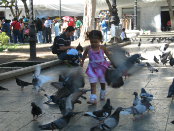 photo 334423