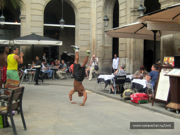 photo 425985