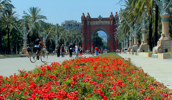 Барселона 319