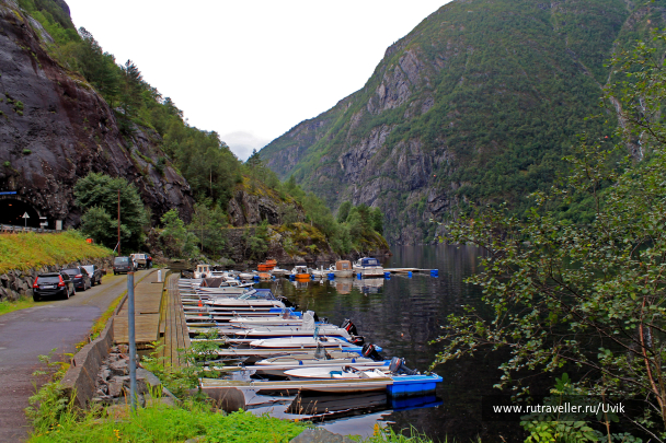 photo 1263768