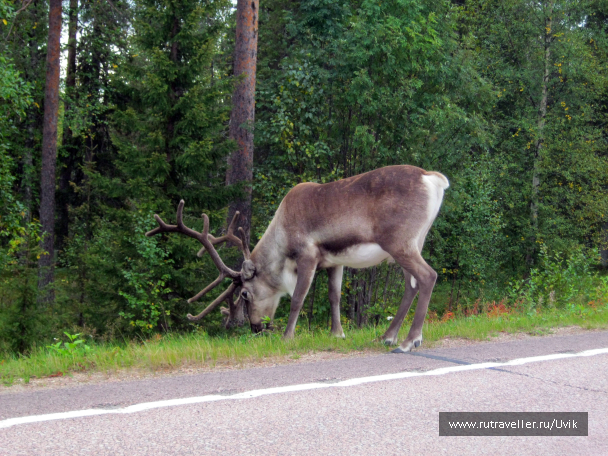 photo 666063