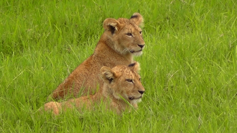 photo 750989