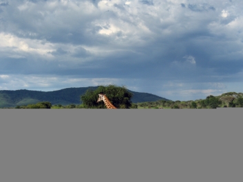 photo 751933