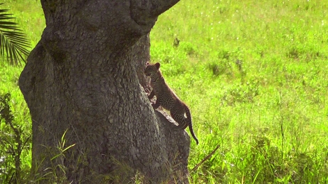 photo 752671