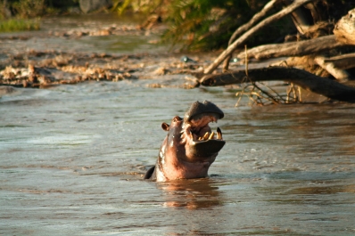 photo 752674