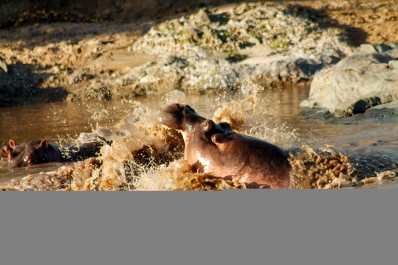 photo 752675