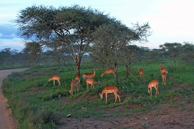 photo 752676