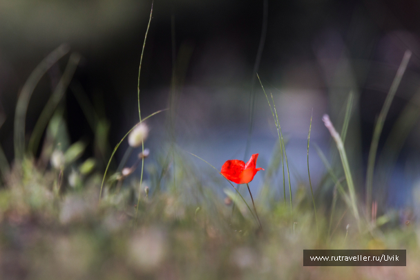 photo 1629543