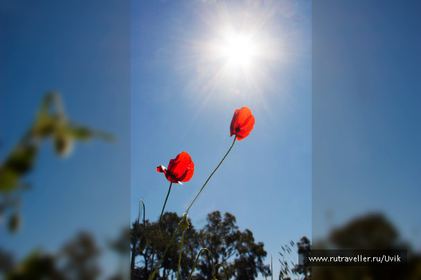 photo 1771613