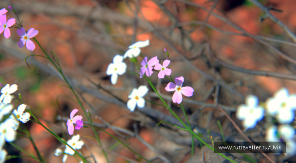 photo 1779169