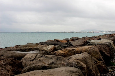 photo 877140