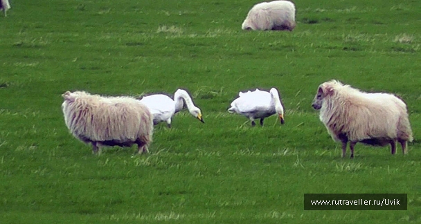 photo 923889