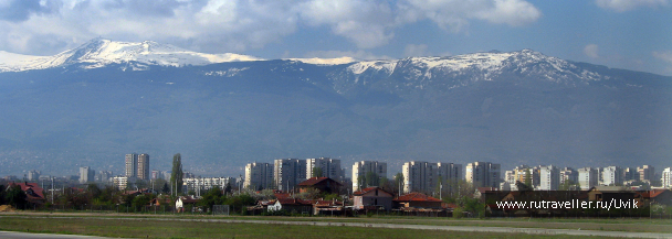photo 1022425