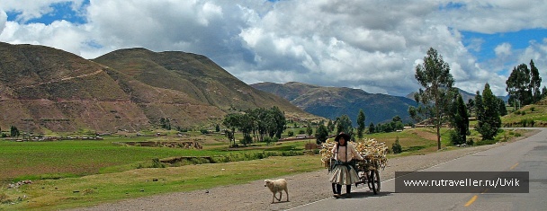 photo 1035194