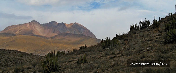 photo 1035197