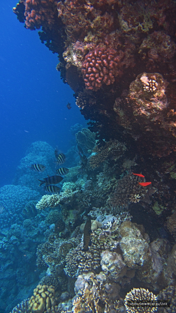 photo 1062775