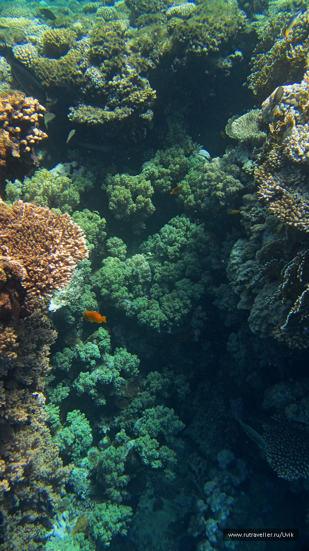 photo 1063079