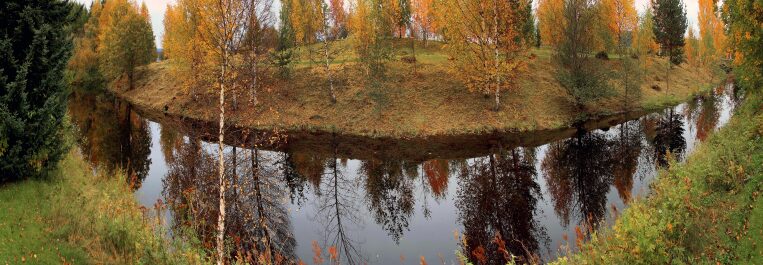 photo 1397854