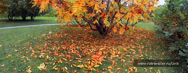photo 1399021