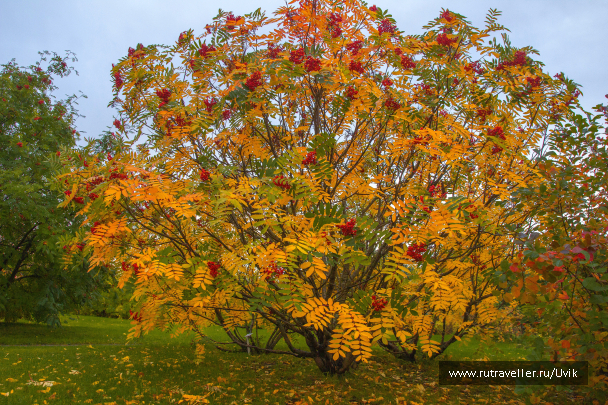 photo 1698731