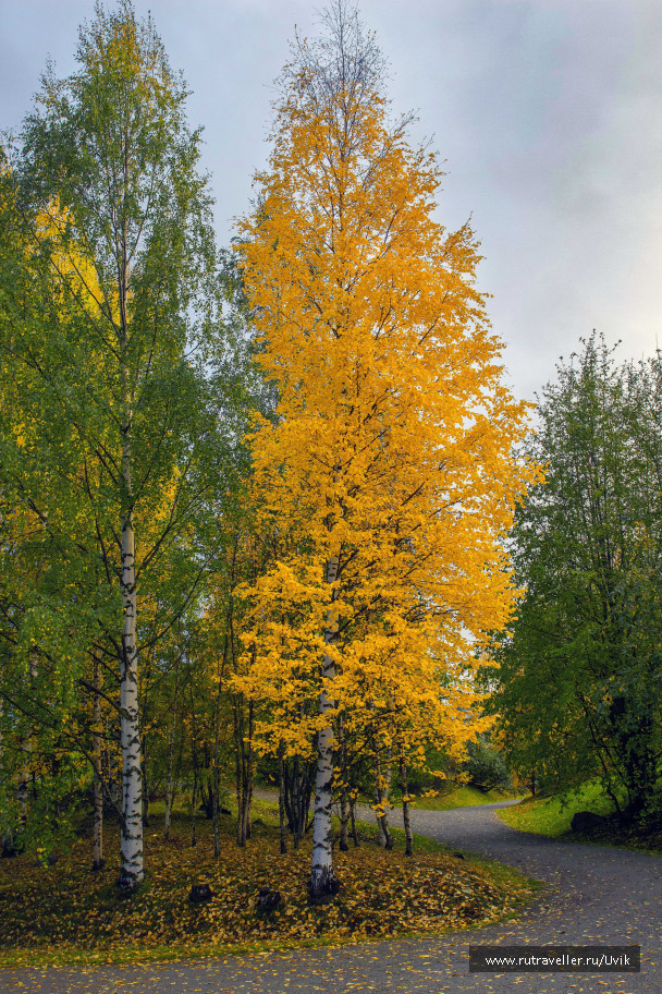 photo 1698968