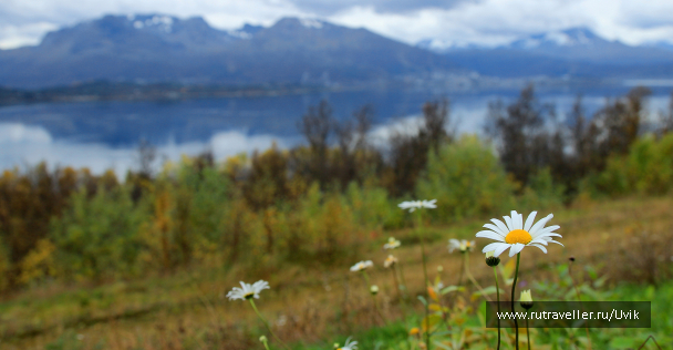photo 1425824